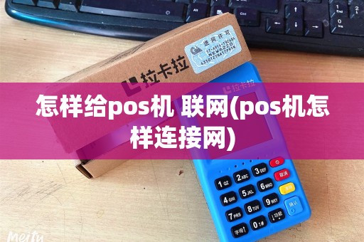 怎样给pos机 联网(pos机怎样连接网)
