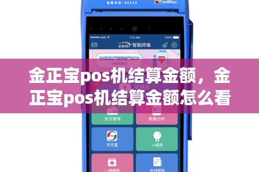 金正宝pos机结算金额，金正宝pos机结算金额怎么看