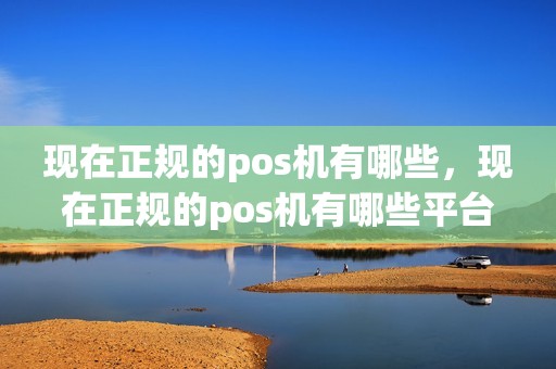 现在正规的pos机有哪些，现在正规的pos机有哪些平台