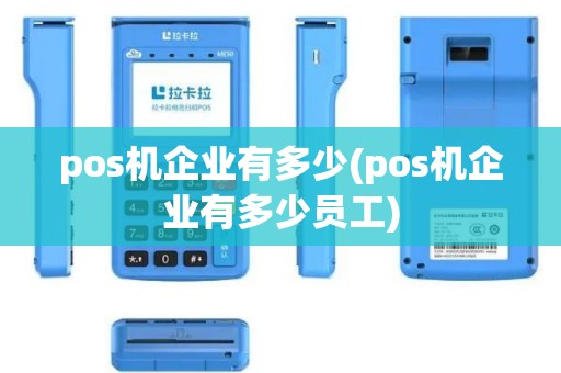 pos机企业有多少(pos机企业有多少员工)