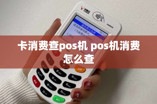 卡消费查pos机 pos机消费怎么查