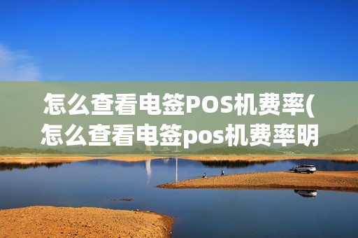 怎么查看电签POS机费率(怎么查看电签pos机费率明细)