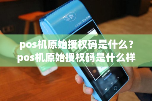 pos机原始授权码是什么？pos机原始授权码是什么样的