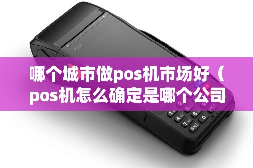 哪个城市做pos机市场好（pos机怎么确定是哪个公司）