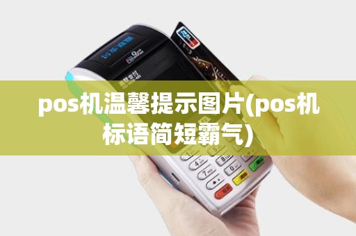 pos机温馨提示图片(pos机标语简短霸气)