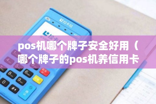 pos机哪个牌子安全好用（哪个牌子的pos机养信用卡好）