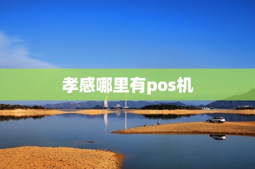 孝感哪里有pos机