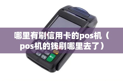 哪里有刷信用卡的pos机（pos机的钱刷哪里去了）