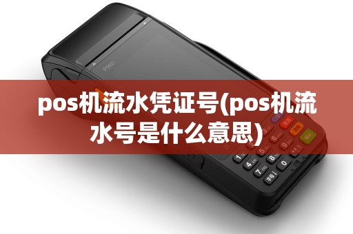 pos机流水凭证号(pos机流水号是什么意思)