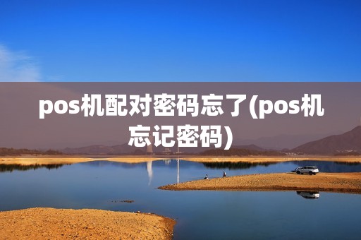 pos机配对密码忘了(pos机忘记密码)