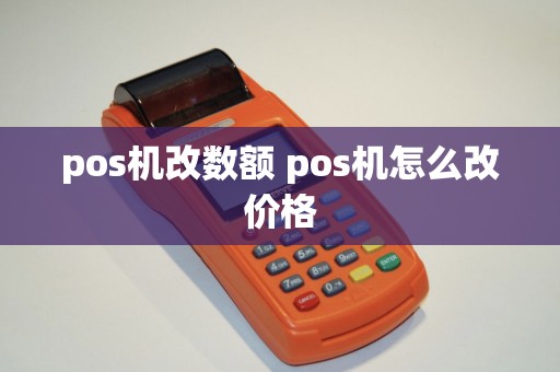 pos机改数额 pos机怎么改价格