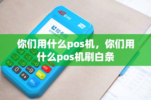 你们用什么pos机，你们用什么pos机刷白条