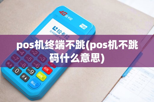 pos机终端不跳(pos机不跳码什么意思)