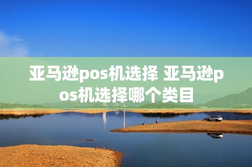 亚马逊pos机选择 亚马逊pos机选择哪个类目