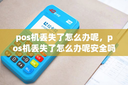 pos机丢失了怎么办呢，pos机丢失了怎么办呢安全吗
