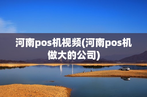 河南pos机视频(河南pos机做大的公司)