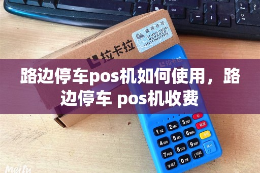 路边停车pos机如何使用，路边停车 pos机收费