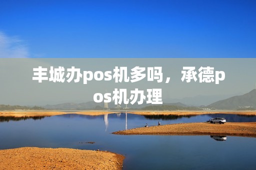 丰城办pos机多吗，承德pos机办理