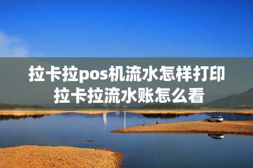拉卡拉pos机流水怎样打印 拉卡拉流水账怎么看