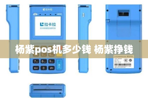 杨紫pos机多少钱 杨紫挣钱