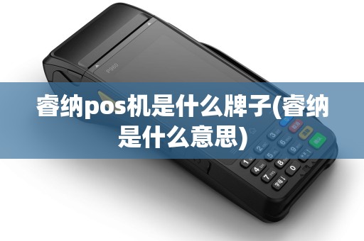 睿纳pos机是什么牌子(睿纳是什么意思)