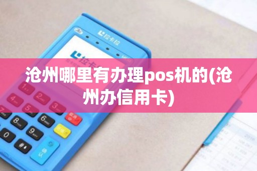 沧州哪里有办理pos机的(沧州办信用卡)