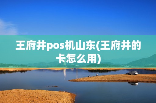 王府井pos机山东(王府井的卡怎么用)
