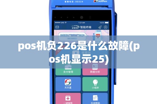 pos机负226是什么故障(pos机显示25)