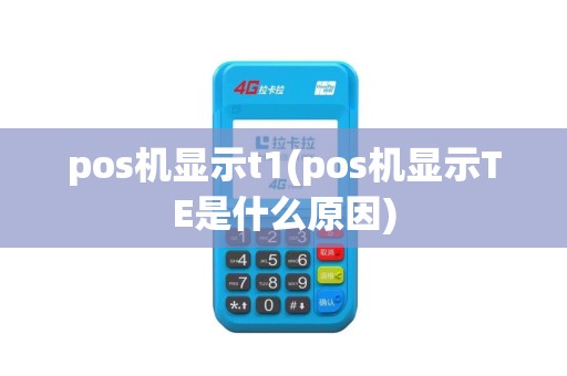 pos机显示t1(pos机显示TE是什么原因)
