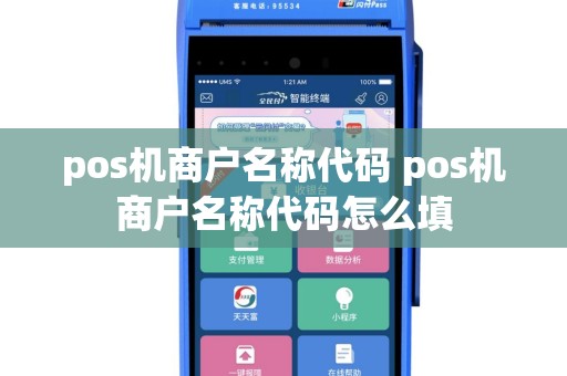 pos机商户名称代码 pos机商户名称代码怎么填