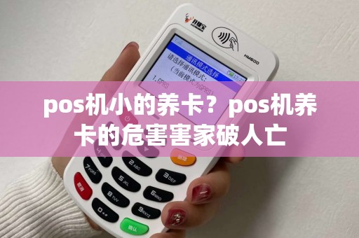 pos机小的养卡？pos机养卡的危害害家破人亡