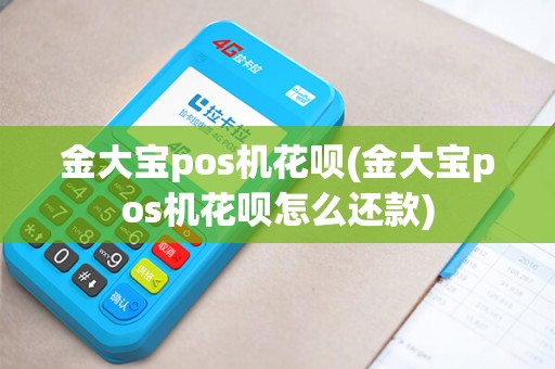 金大宝pos机花呗(金大宝pos机花呗怎么还款)