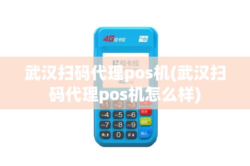 武汉扫码代理pos机(武汉扫码代理pos机怎么样)