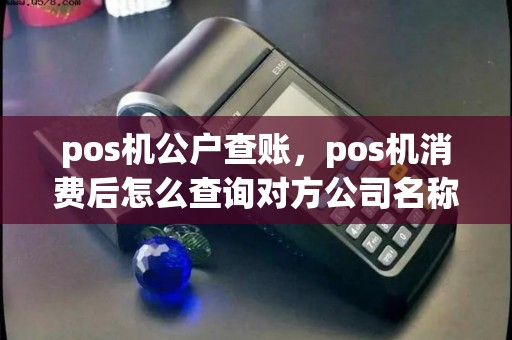 pos机公户查账，pos机消费后怎么查询对方公司名称