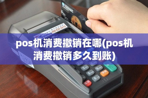 pos机消费撤销在哪(pos机消费撤销多久到账)