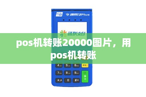 pos机转账20000图片，用pos机转账