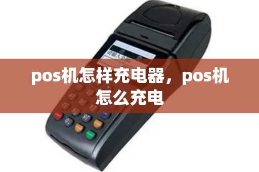 pos机怎样充电器，pos机怎么充电