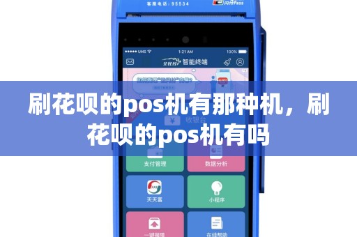 刷花呗的pos机有那种机，刷花呗的pos机有吗