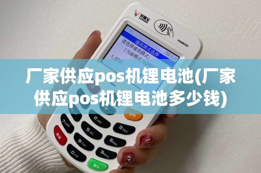 厂家供应pos机锂电池(厂家供应pos机锂电池多少钱)
