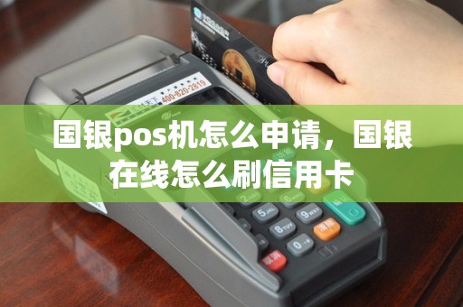 国银pos机怎么申请，国银在线怎么刷信用卡