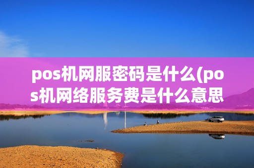 pos机网服密码是什么(pos机网络服务费是什么意思)