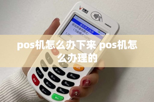 pos机怎么办下来 pos机怎么办理的