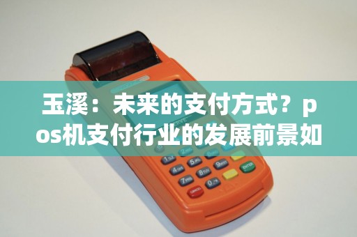 玉溪：未来的支付方式？pos机支付行业的发展前景如何？