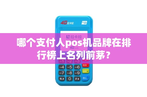 哪个支付人pos机品牌在排行榜上名列前茅？