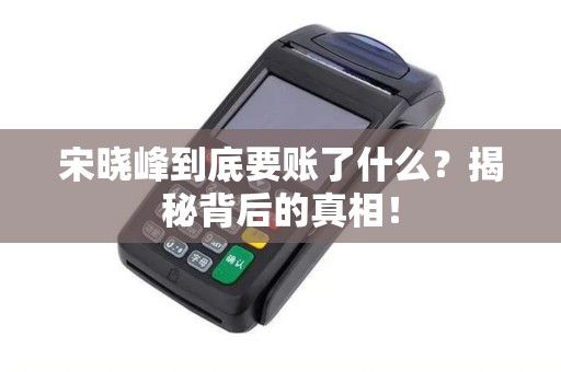 宋晓峰到底要账了什么？揭秘背后的真相！