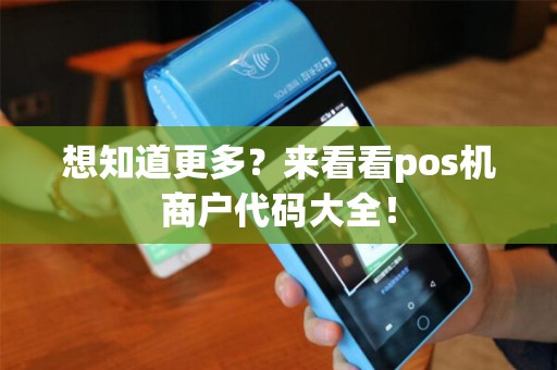 想知道更多？来看看pos机商户代码大全！