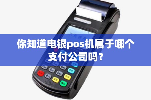 你知道电银pos机属于哪个支付公司吗？