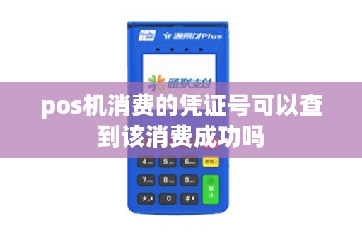pos机消费的凭证号可以查到该消费成功吗