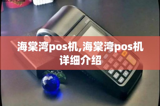 海棠湾pos机,海棠湾pos机详细介绍