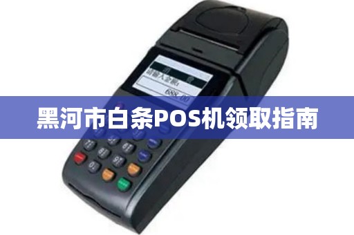 黑河市白条POS机领取指南